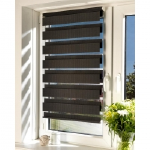 Doppel-Rollo (90x160, anthrazit) 14.49 €