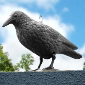 Tauben-/ Vogelabwehr Rabe 4.99 €