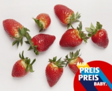 NATUR Lieblinge Erdbeeren