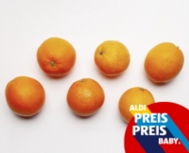 NATUR Lieblinge Orangen