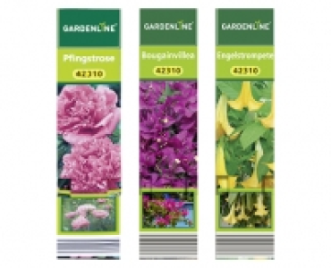 GARDENLINE® Premium Beetpflanzen