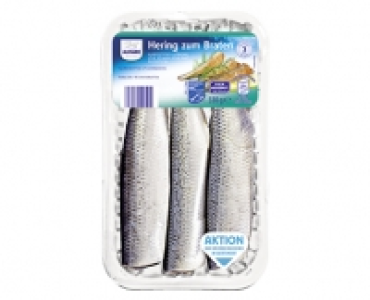 ALMARE Hering zum Braten 1.99&nbsp;&euro;