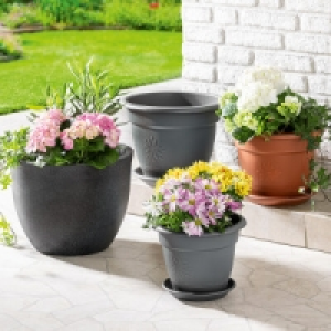 Blumentopf-Set Sydney 9.99 €