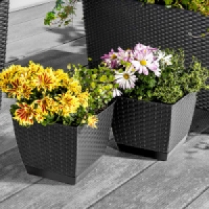 Blumentopf 6.99 €