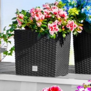 Blumentopf 9.99 €