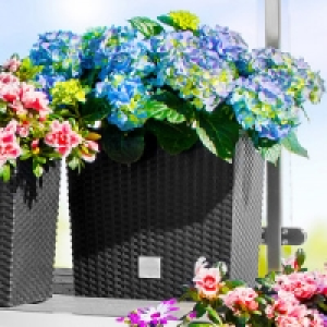 Blumentopf 14.99 €