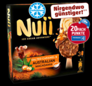 NUII Ice Cream Adventure 1.85 €