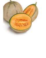 Ebl Naturkost Marokkanische Melone Charentais