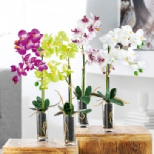 Deko-Orchidee 7.99 €