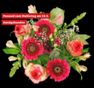 Penny  Premiumstrauß Rosen