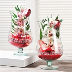 Cymbidium 9.99 €