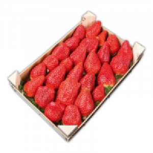 Premium Erdbeeren 3.59 €