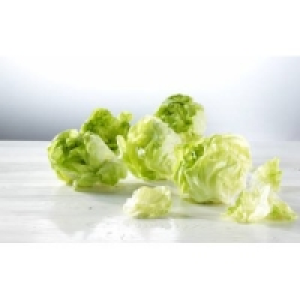 Salatherzen Romana 0.99 €