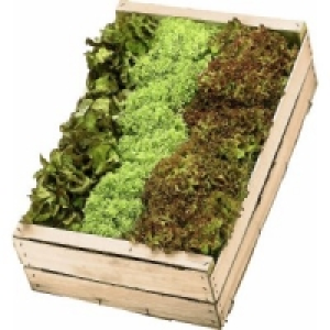 Salat Mix 4.99&nbsp;&euro;