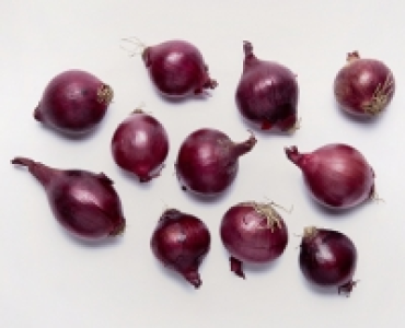 Bio-Speisezwiebeln, rot