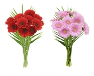 Schnittblumen