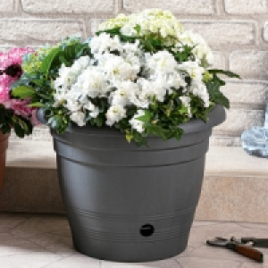 Blumentopf 4.99 €
