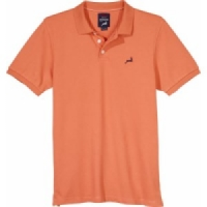 Herren Poloshirt 19.99 €