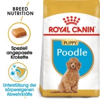 Fressnapf  Royal Canin Poodle Puppy