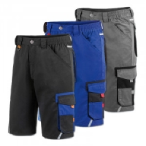 Profi-Arbeitsshorts 9.99 €