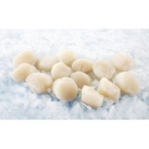 MSC Kammmuschelfleisch 22.99&nbsp;&euro;