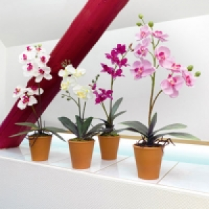 Textilpflanze 4.99&nbsp;&euro;