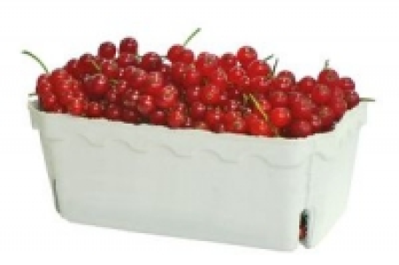 Johannisbeeren 3.99&nbsp;&euro;