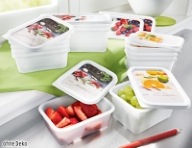 Topolux Tiefkühldosen-Set