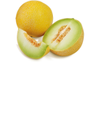 Ebl Naturkost Spanische Galia Melone
