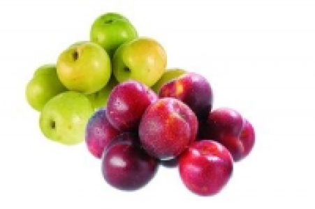 Pflaumen 3.99 €