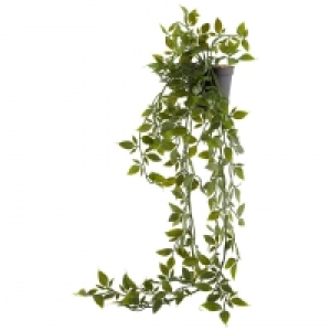 Kunstpflanze OLIVER (mit Topf, 70 cm) 5.00 €