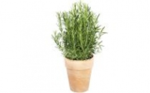 Kr&auml;uter 2.22&nbsp;&euro;