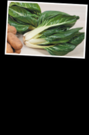 Mangold 2.47 €