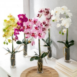 Deko-Orchidee 7.78 €