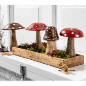 Mangoholz-Deko 3.88 €
