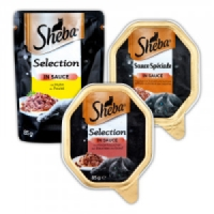 Norma Sheba Selection in Sauce