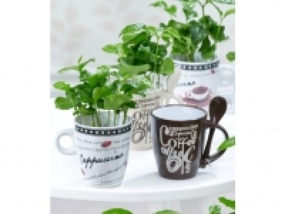 Lidl  Coffea Arabica mit Kaffeetasse,3 Sets