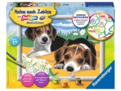 Ravensburger Jack Russel Welpen 13.64 €