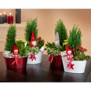 Weihnachtliches Arrangement 7.65 €