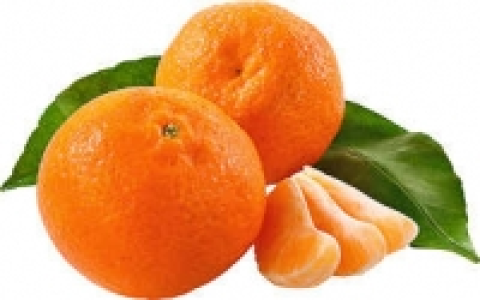 Span. Clementinen mit Blatt 1.76 €