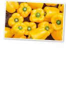 Ebl Naturkost Spanische Gelbe Paprika