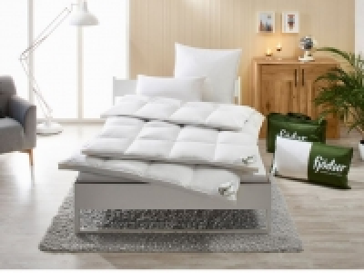 Lidl  Fjödur Luxus Gänsedaunen-Kassettenbettdecke extra warm