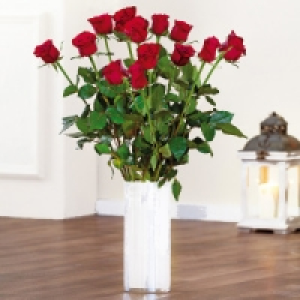 Premium Rosen 3.91 €
