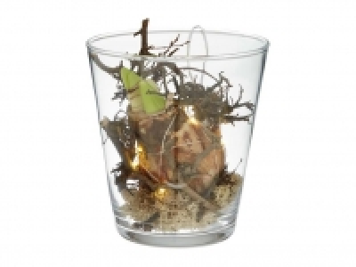 Amaryllis im Glas 9.80 €