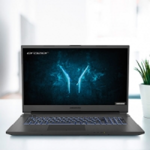 43,9cm (17,3 Zoll) Core Gaming Notebook MEDION® ERAZER® Defender P10