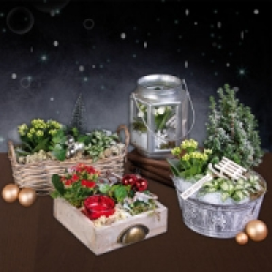Weihnachtliches Arrangement 8.75 €