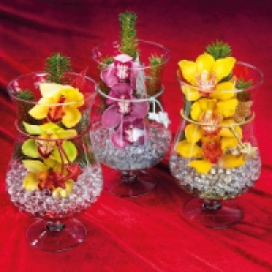 Cymbidium-Arrangement 9.80 €