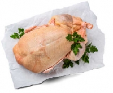 Barbarie-Ente 0.67 €