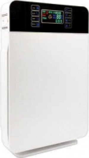 LIVINGTON 155.96 €