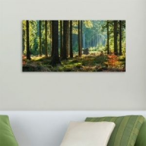 Acrylglasbild Wald